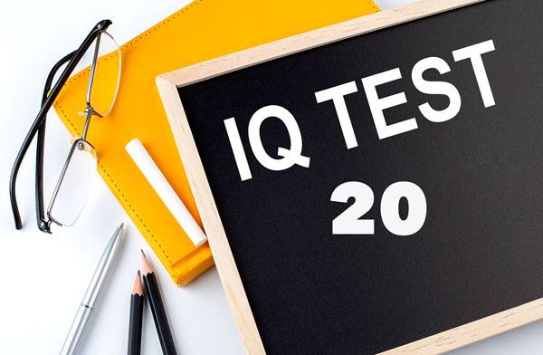 тест на iq 20 вопросов